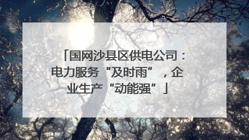 国网沙县区供电公司：电力服务“及时雨”，企业生产“动能强”
