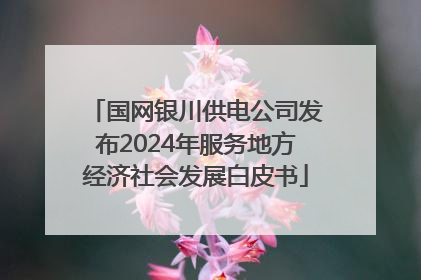国网银川供电公司发布2024年服务地方经济社会发展白皮书