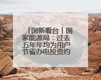 国新看台丨国家能源局：过去五年年均为用户节省办电投资约600亿元