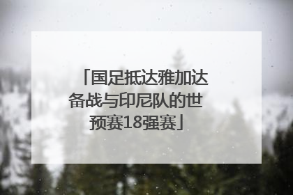 国足抵达雅加达备战与印尼队的世预赛18强赛