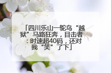 四川乐山一鸵鸟“越狱”马路狂奔，目击者：时速超40码，还对我“笑”了下