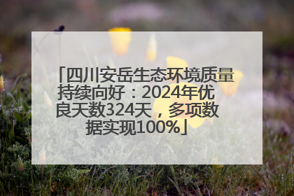 四川安岳生态环境质量持续向好：2024年优良天数324天，多项数据实现100%