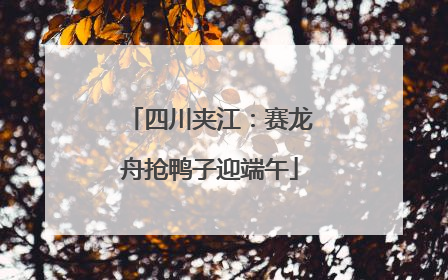 四川夹江：赛龙舟抢鸭子迎端午