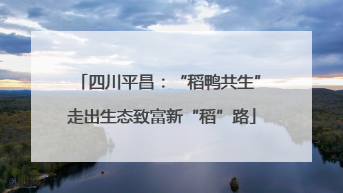 四川平昌：“稻鸭共生”走出生态致富新“稻”路