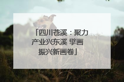 四川苍溪：聚力产业兴东溪 擘画振兴新画卷