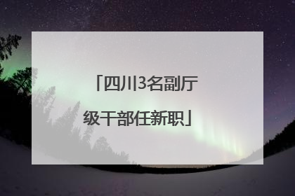 四川3名副厅级干部任新职