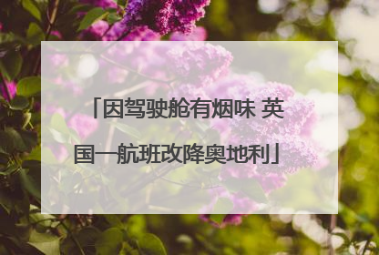 因驾驶舱有烟味 英国一航班改降奥地利