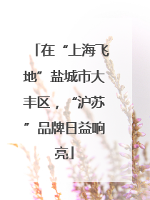在“上海飞地”盐城市大丰区，“沪苏”品牌日益响亮