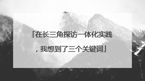 在长三角探访一体化实践，我想到了三个关键词