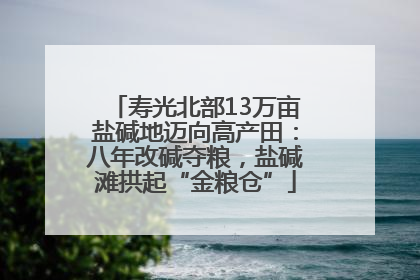 寿光北部13万亩盐碱地迈向高产田：八年改碱夺粮，盐碱滩拱起“金粮仓”