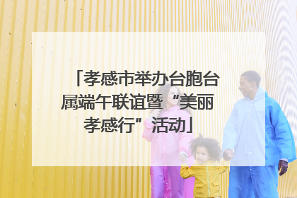 孝感市举办台胞台属端午联谊暨“美丽孝感行”活动