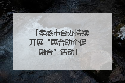 孝感市台办持续开展“惠台助企促融合”活动
