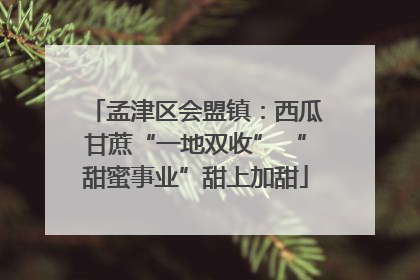 孟津区会盟镇：西瓜甘蔗“一地双收” “甜蜜事业”甜上加甜