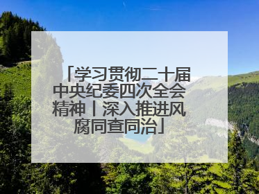 学习贯彻二十届中央纪委四次全会精神丨深入推进风腐同查同治