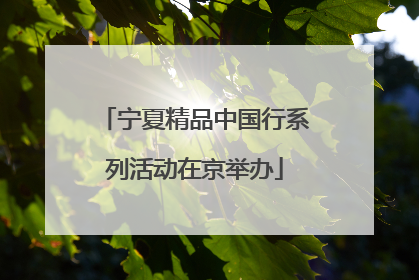 宁夏精品中国行系列活动在京举办