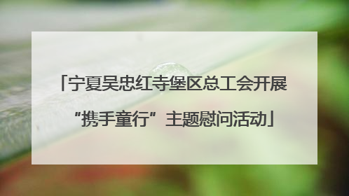 宁夏吴忠红寺堡区总工会开展“携手童行”主题慰问活动