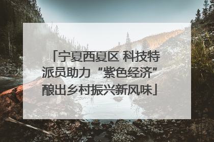 宁夏西夏区 科技特派员助力“紫色经济”酿出乡村振兴新风味