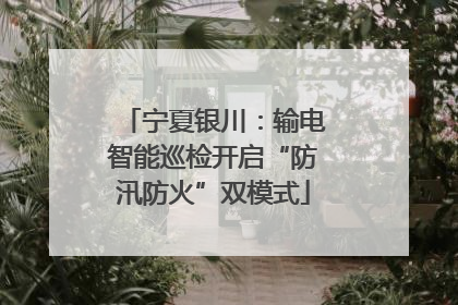 宁夏银川：输电智能巡检开启“防汛防火”双模式
