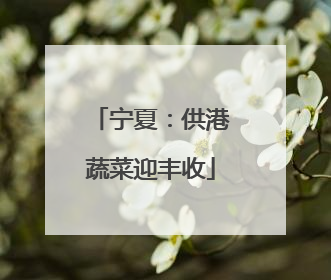 宁夏：供港蔬菜迎丰收