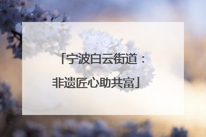 宁波白云街道：非遗匠心助共富