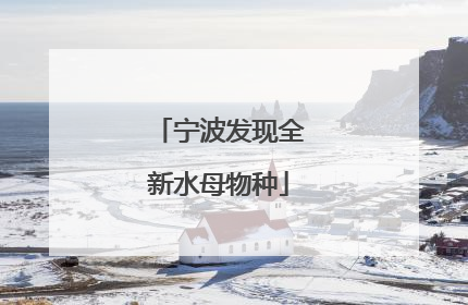 宁波发现全新水母物种