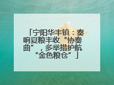 宁阳华丰镇：奏响夏粮丰收“协奏曲”，多举措护航“金色粮仓”