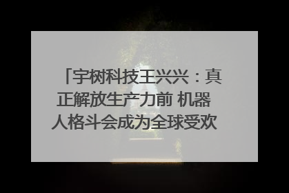 宇树科技王兴兴：真正解放生产力前 机器人格斗会成为全球受欢迎的赛事｜科技观察