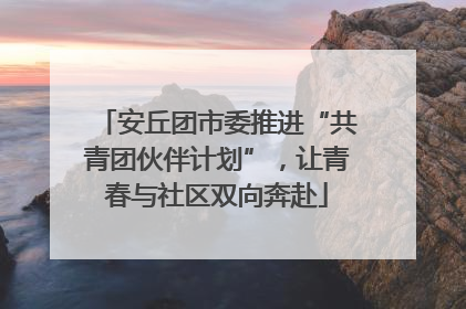 安丘团市委推进“共青团伙伴计划”，让青春与社区双向奔赴