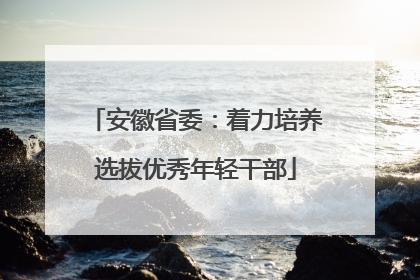 安徽省委：着力培养选拔优秀年轻干部