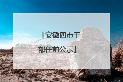 安徽四市干部任前公示