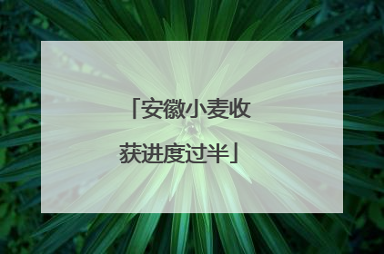 安徽小麦收获进度过半