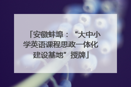 安徽蚌埠：“大中小学英语课程思政一体化建设基地”授牌