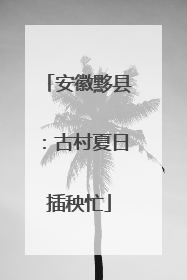 安徽黟县：古村夏日插秧忙