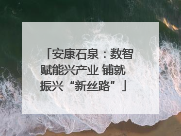 安康石泉：数智赋能兴产业 铺就振兴“新丝路”