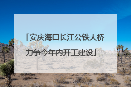 安庆海口长江公铁大桥力争今年内开工建设