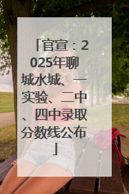 官宣：2025年聊城水城、一实验、二中、四中录取分数线公布