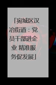 宛城区汉冶街道：党员干部进企业 精准服务促发展
