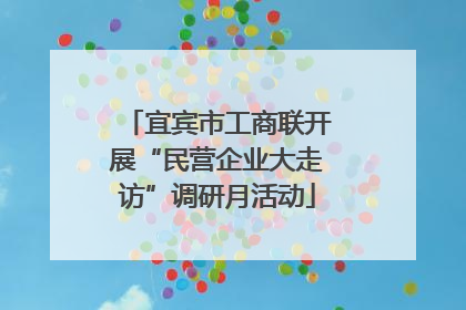 宜宾市工商联开展“民营企业大走访”调研月活动