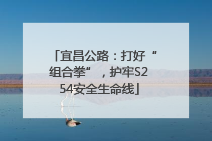 宜昌公路：打好“组合拳”，护牢S254安全生命线