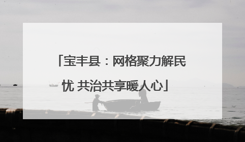 宝丰县：网格聚力解民忧 共治共享暖人心