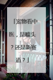 宠物看中医，是噱头？还是新赛道？