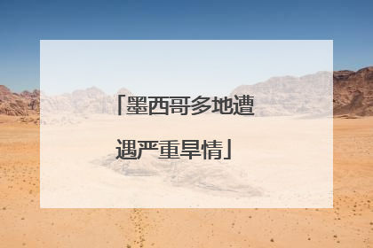 墨西哥多地遭遇严重旱情