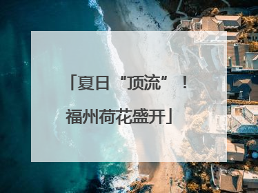 夏日“顶流”！福州荷花盛开