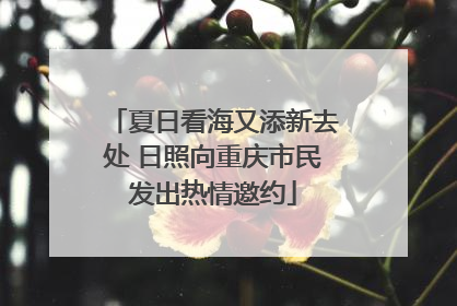 夏日看海又添新去处 日照向重庆市民发出热情邀约