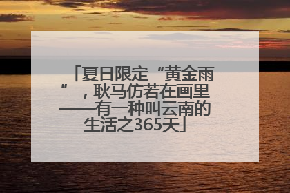 夏日限定“黄金雨”，耿马仿若在画里——有一种叫云南的生活之365天