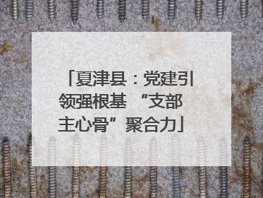 夏津县：党建引领强根基 “支部主心骨”聚合力