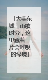 大美东城｜雨歇时分，这里藏着一片会呼吸的绿境