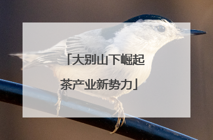 大别山下崛起茶产业新势力