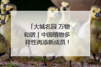 大城名园 万物和谐｜中国植物多样性再添新成员！它只在西藏墨脱