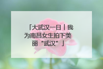 大武汉一日︱我为南昌女生拍下美丽“武汉”